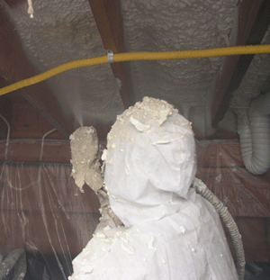 Calgary AB crawl space insulation